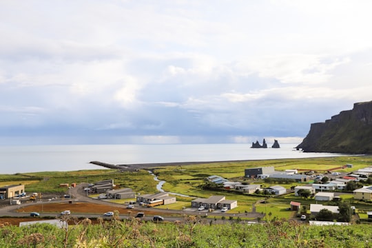 green grass field near body of water under white clouds during daytime in Reynisdrangar Iceland