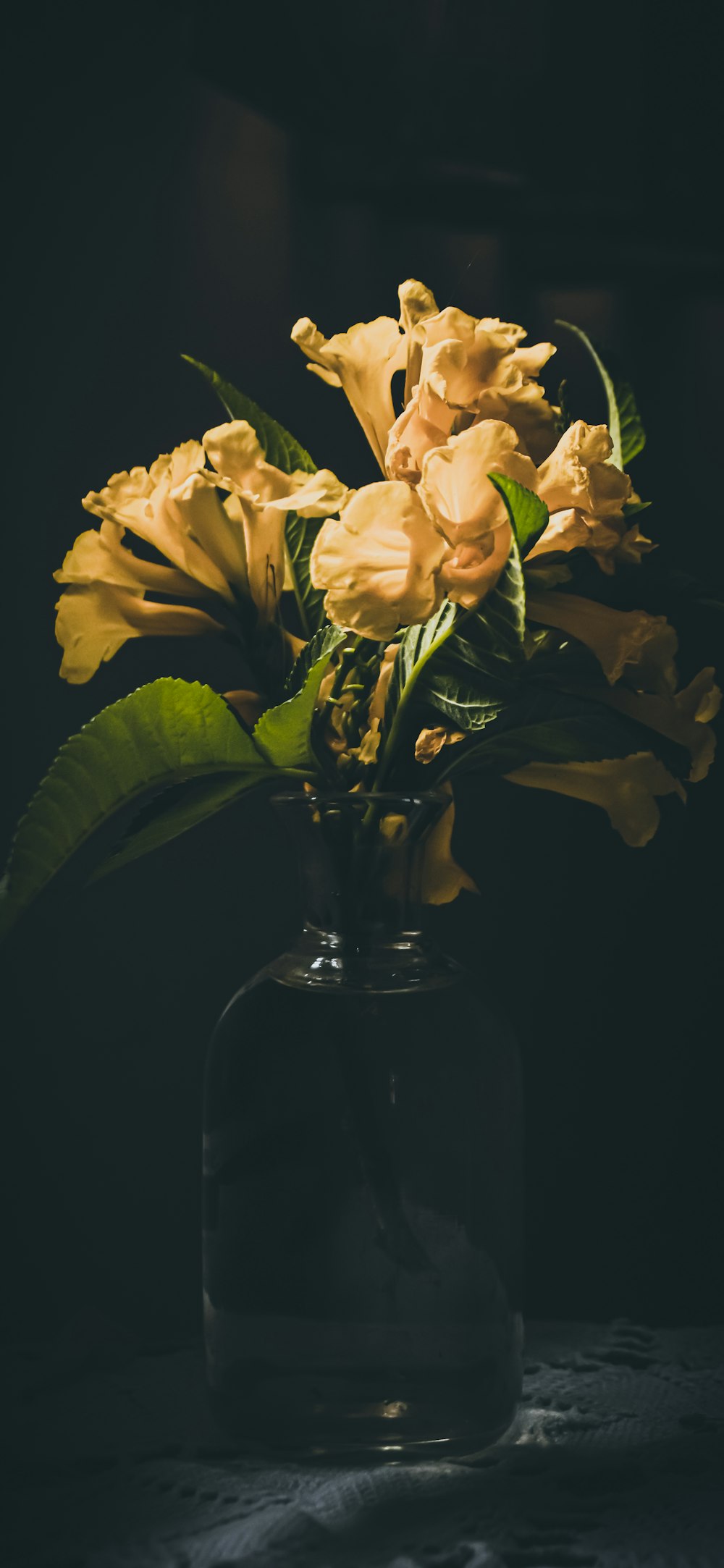 yellow roses in blue glass vase