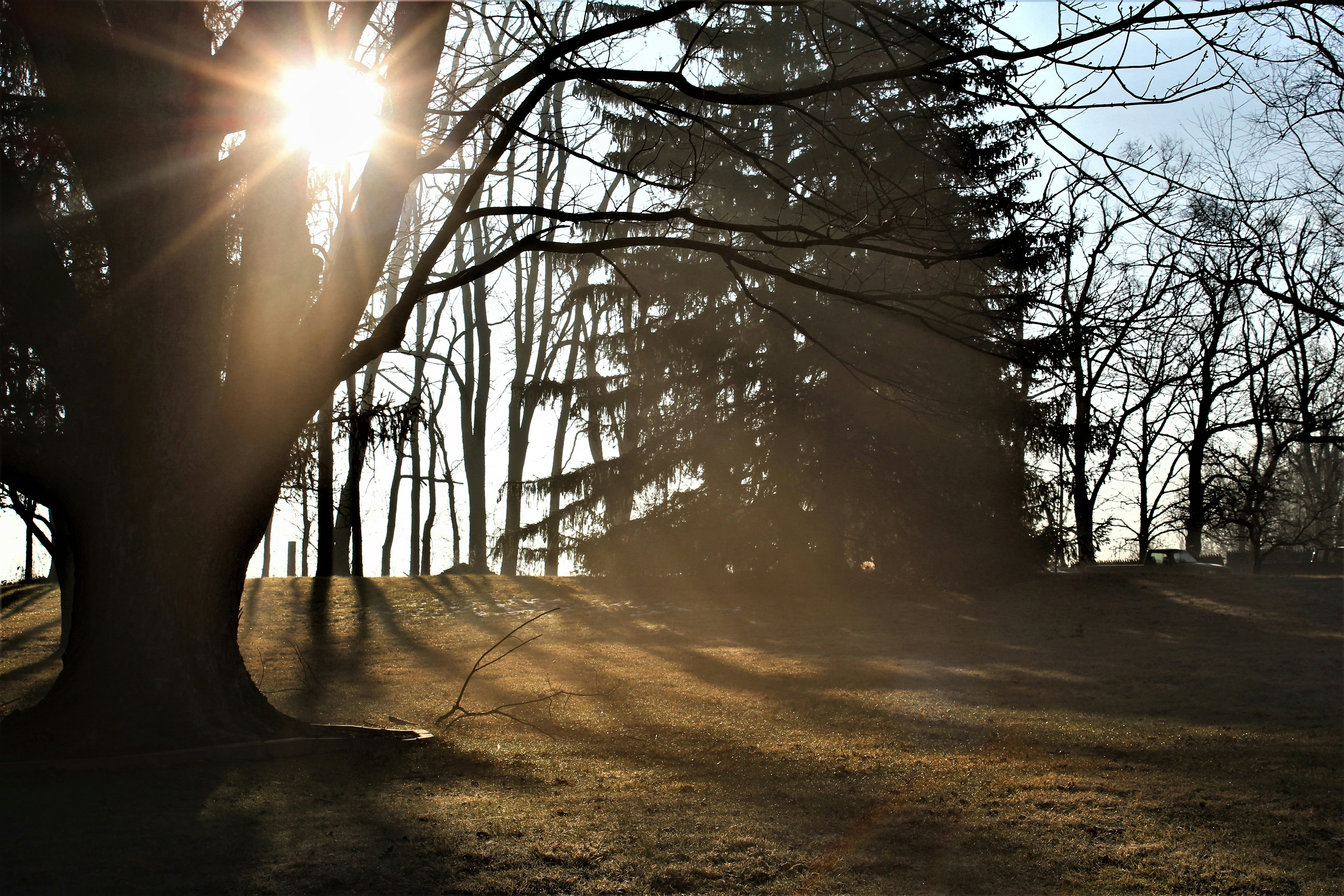 Photo by sarah_lieghley