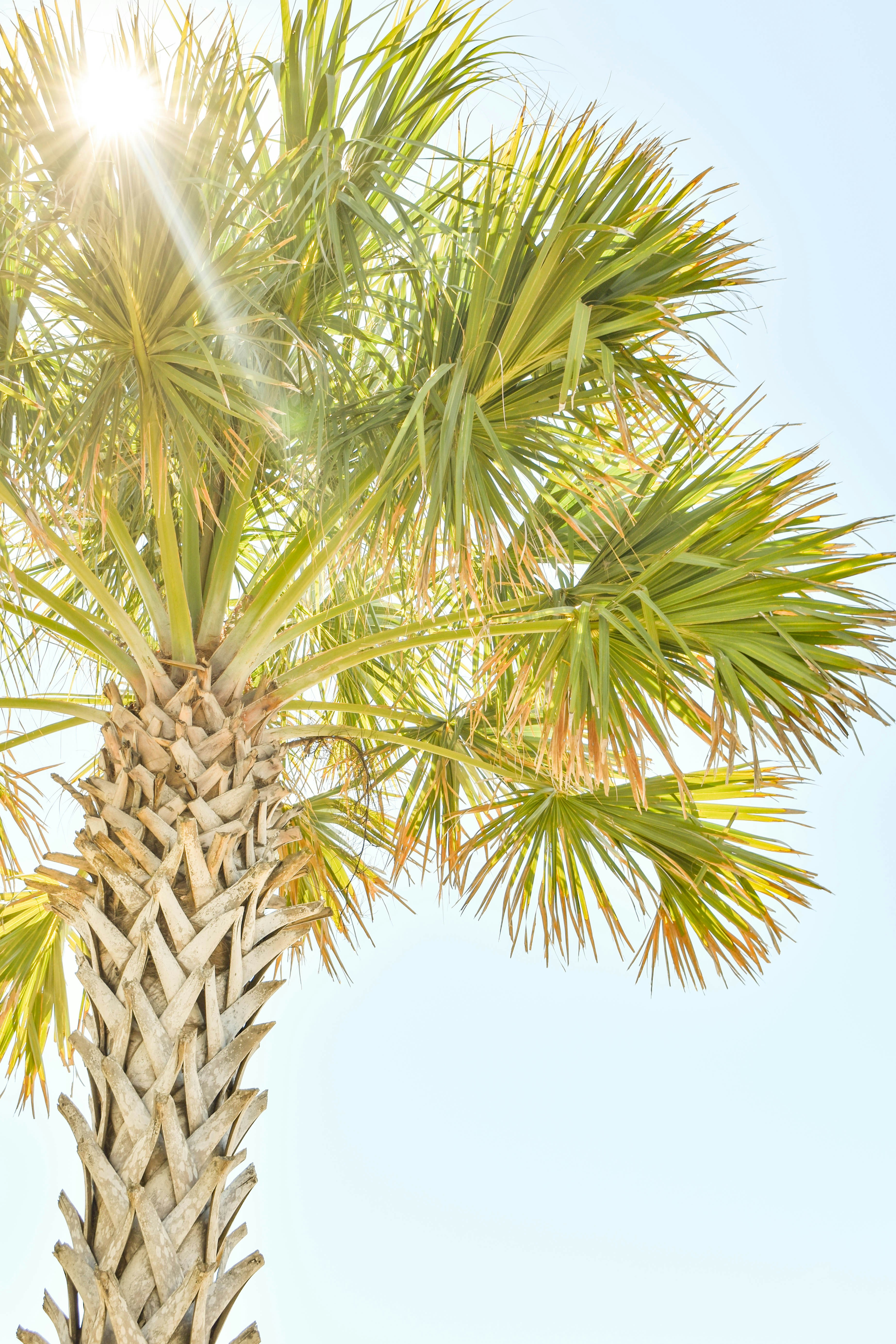 Photo by corrynewooten