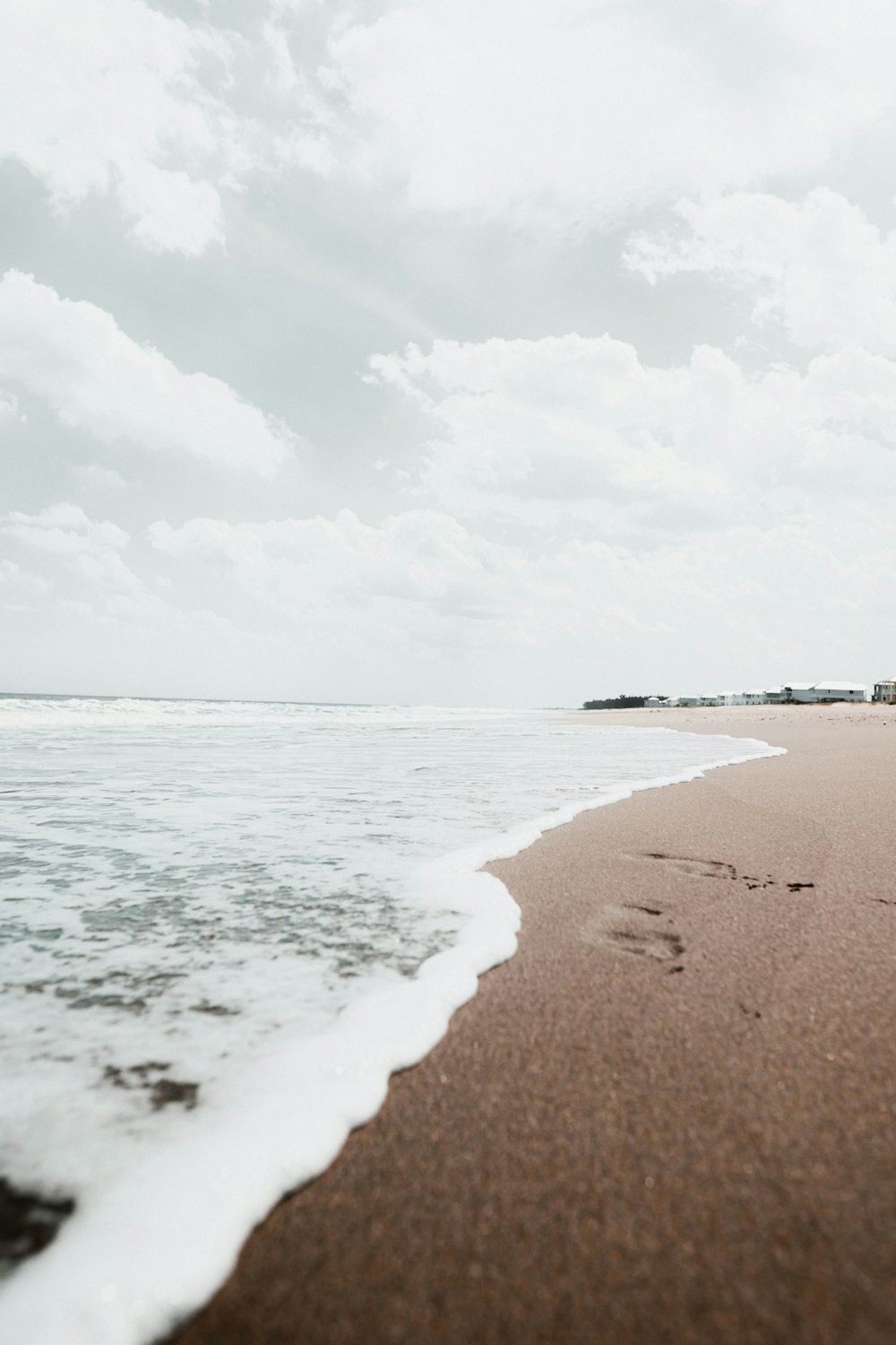 people walking on beach during daytime