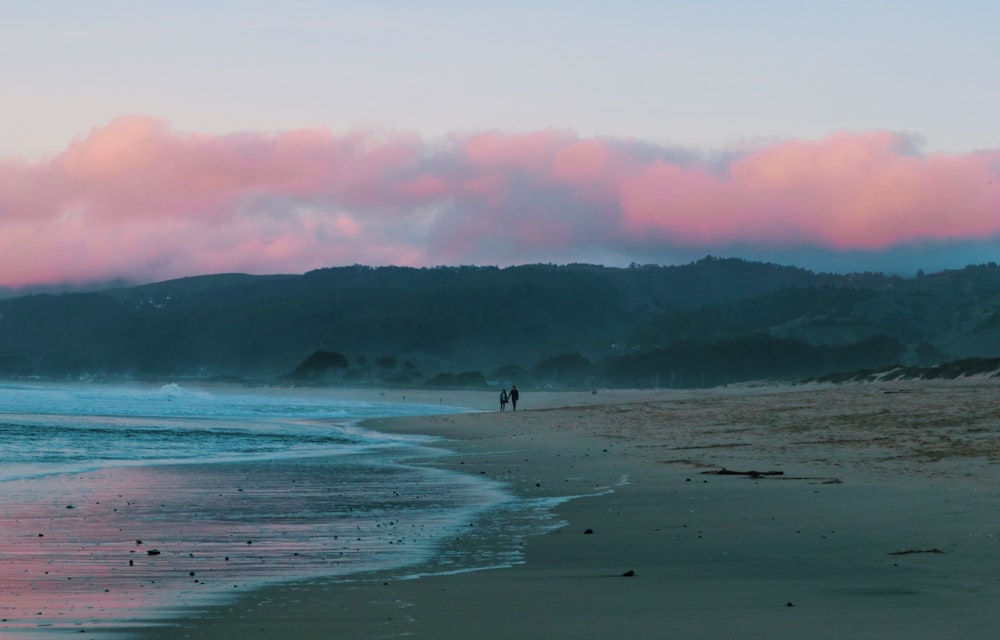 people on beach during daytime