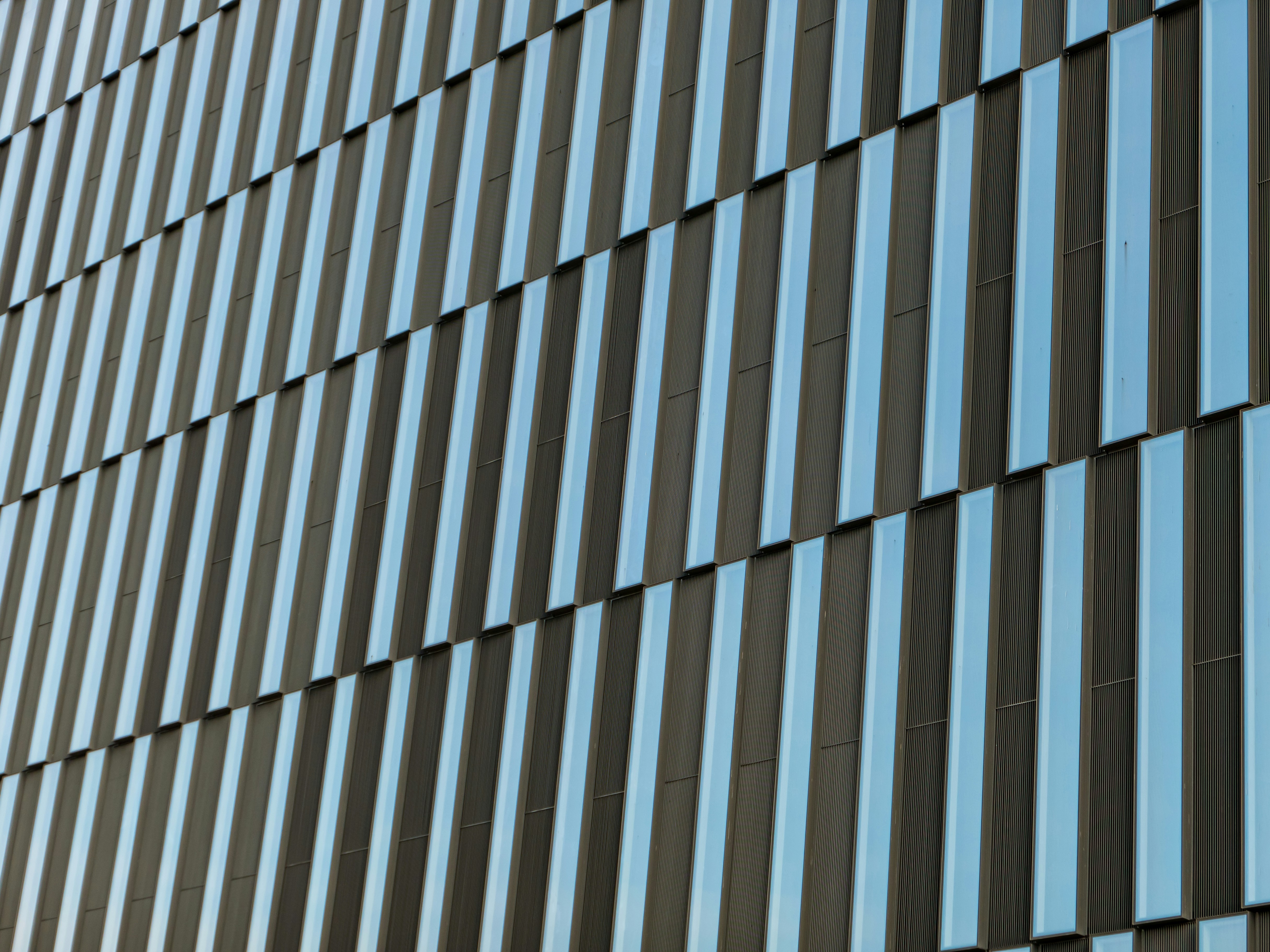 Photo by jeffreybetts