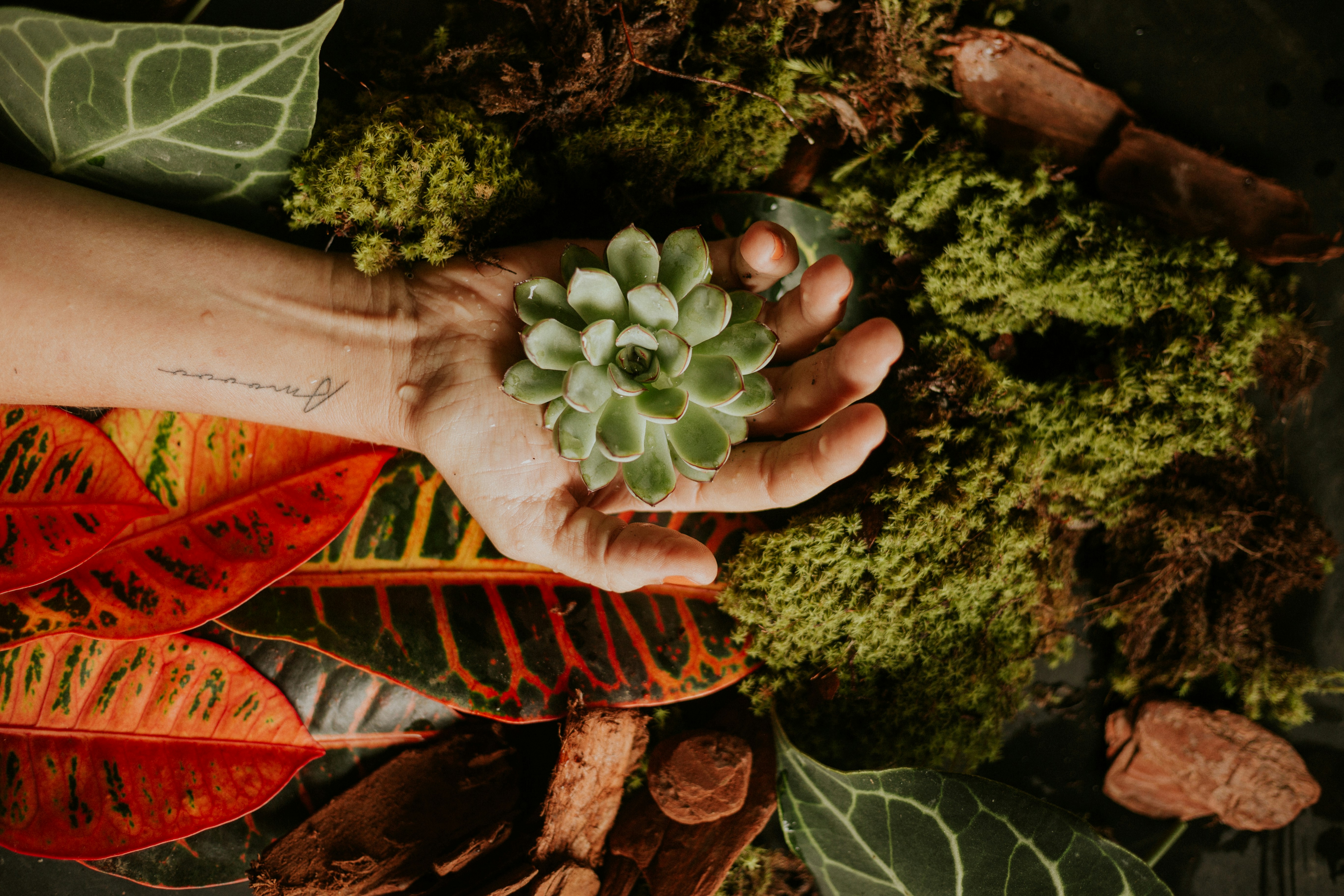 Photo by lucasmendesph