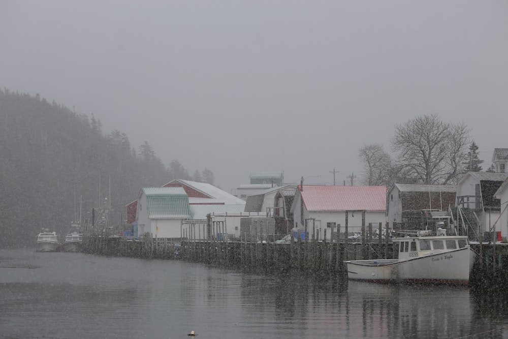 white and red houses beside body of water during daytime