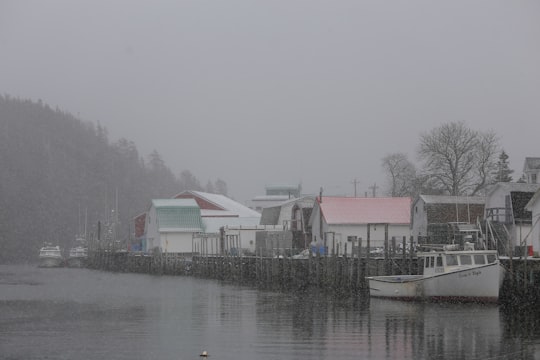 white and red houses beside body of water during daytime in Little River Canada