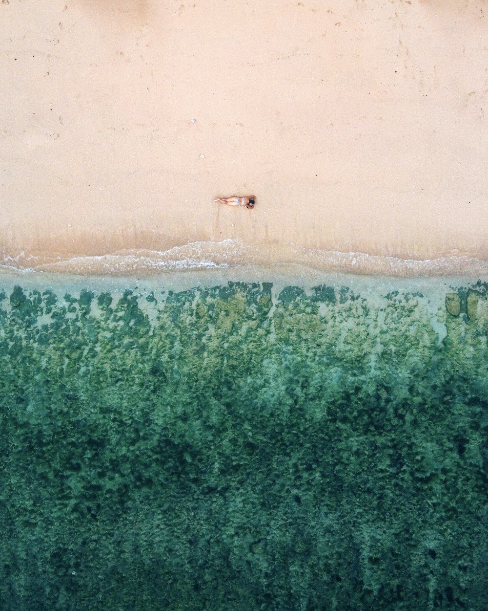 Veduta aerea di alberi verdi vicino allo specchio d'acqua durante il giorno