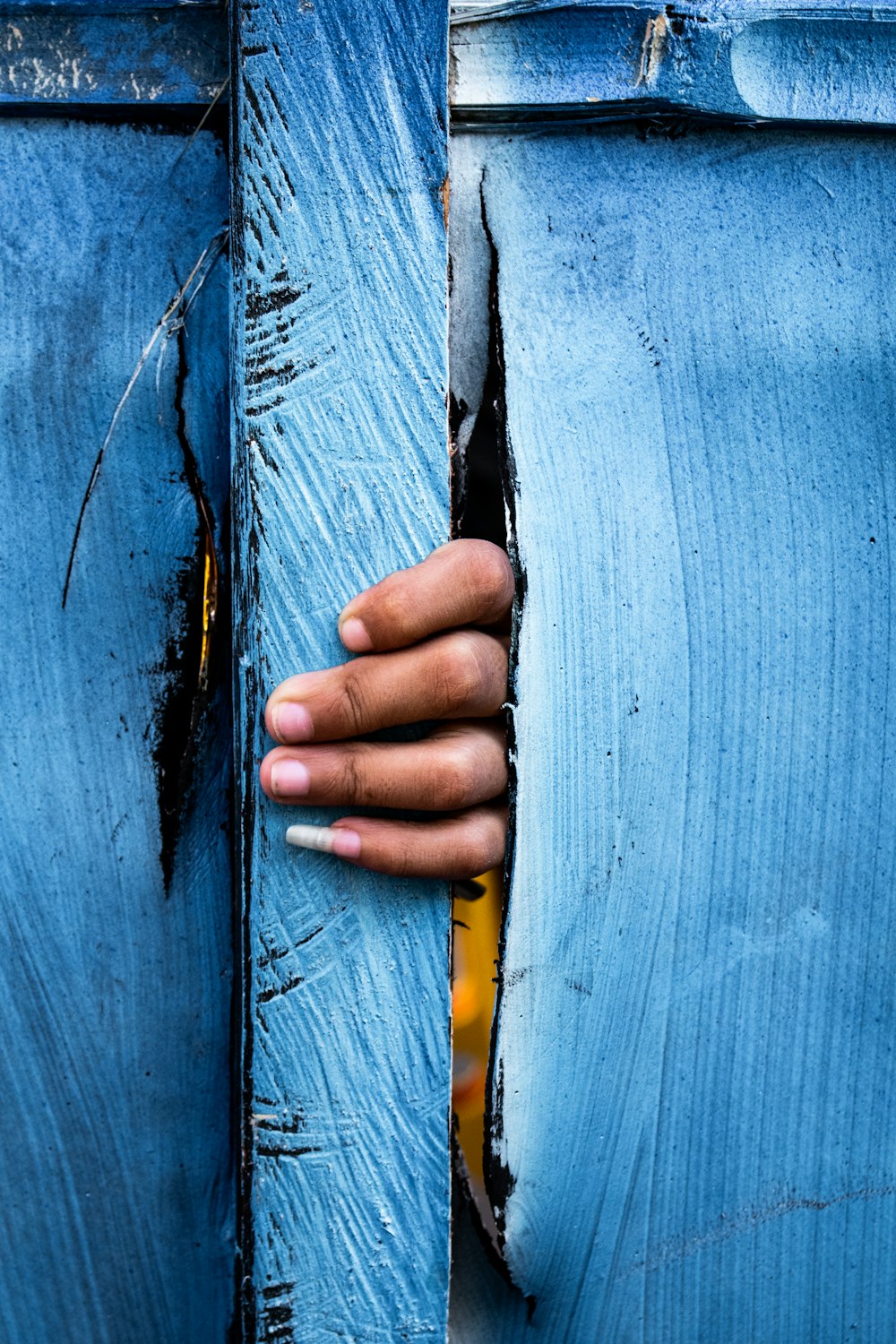 person holding yellow and black hand tool