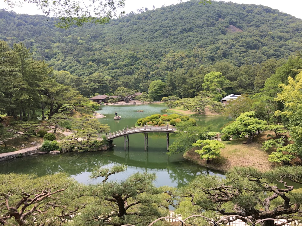 a bridge over a river surrounded by trees