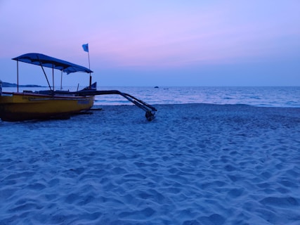 yellow and black boat on beach during daytime