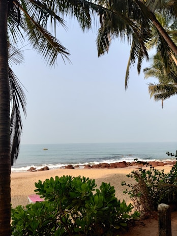 A peaceful beach in Goa with golden sand, swaying palms, and colorful boats on the shore.