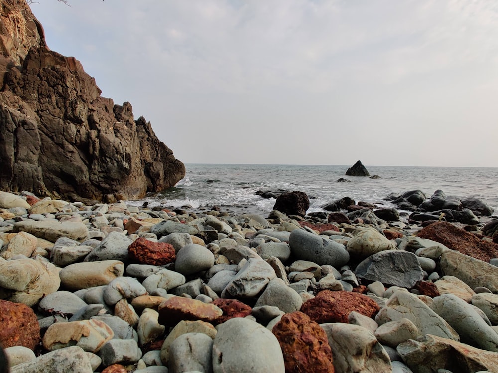 brown rocky shore during daytime