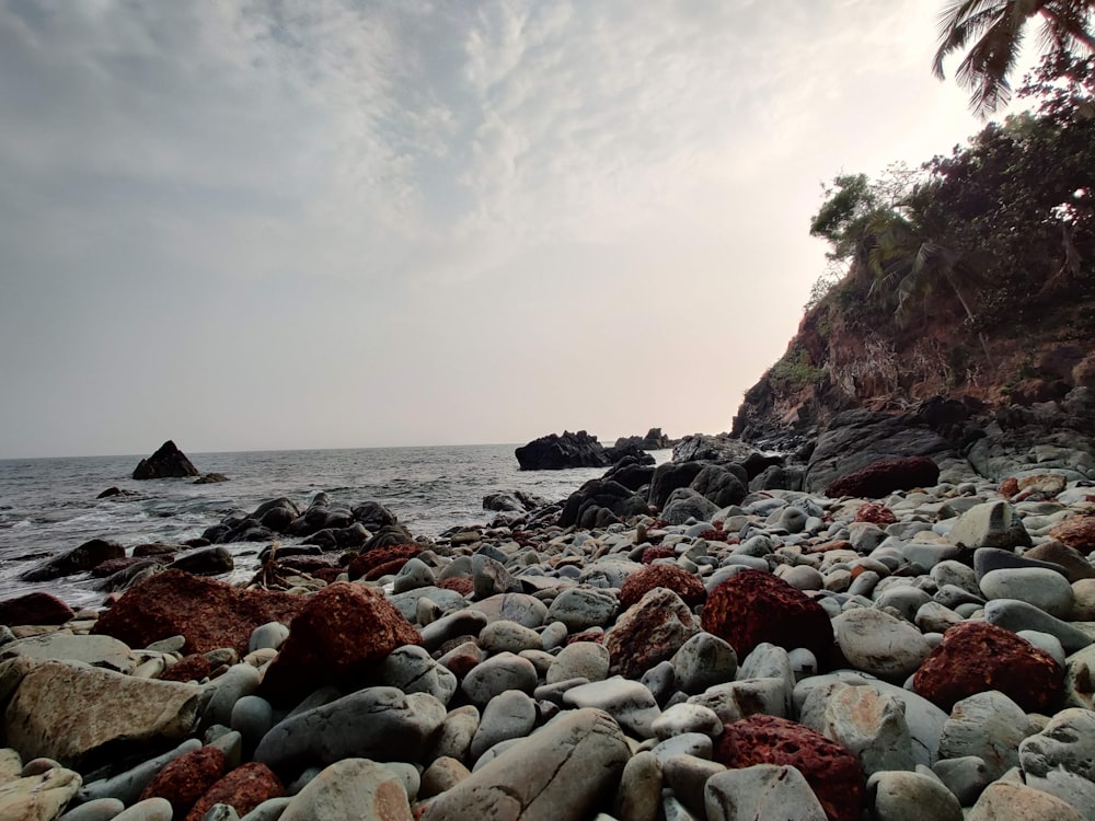 Costa rocosa con rocas y cuerpo de agua durante el día