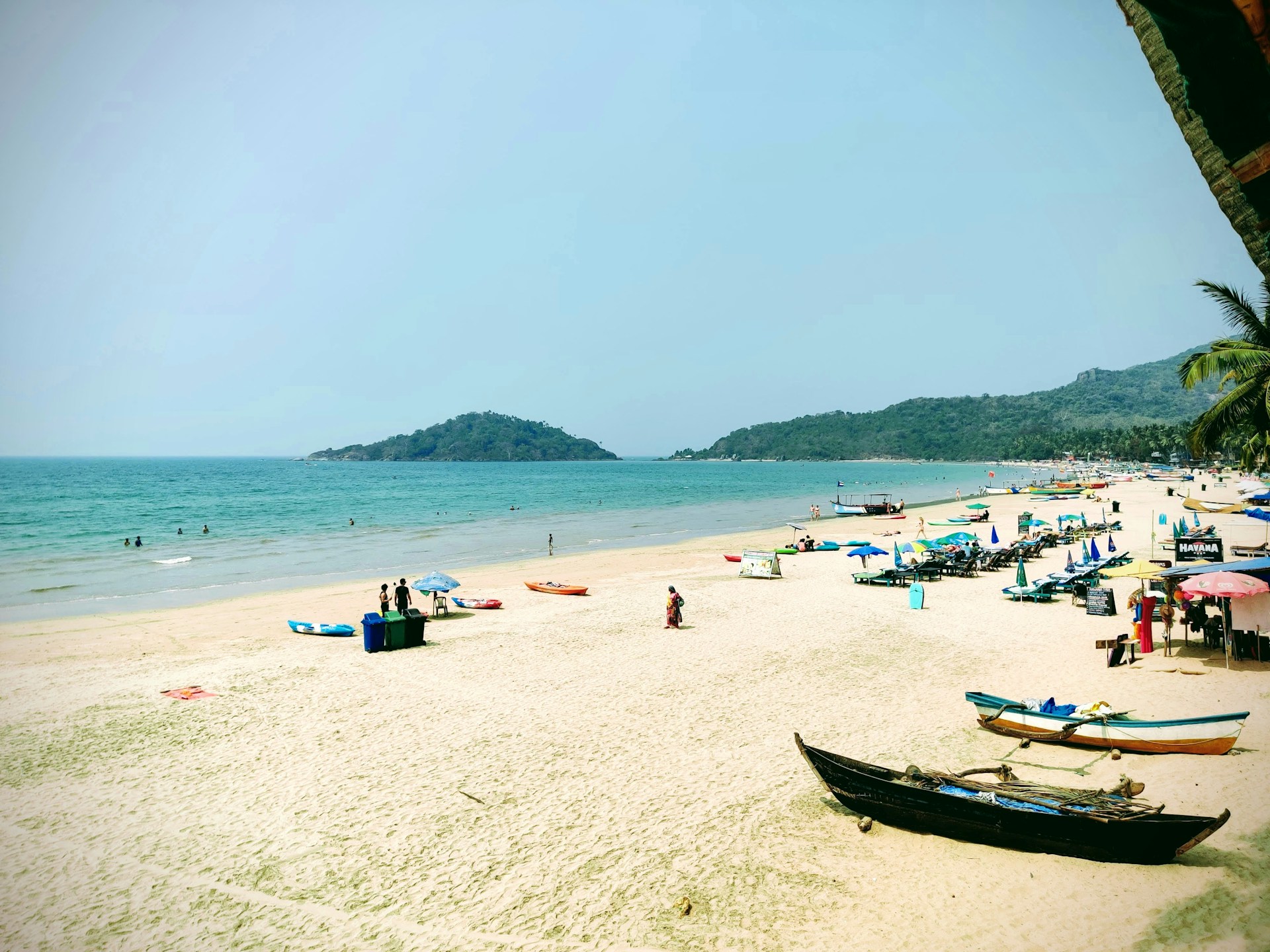 people on beach during daytime