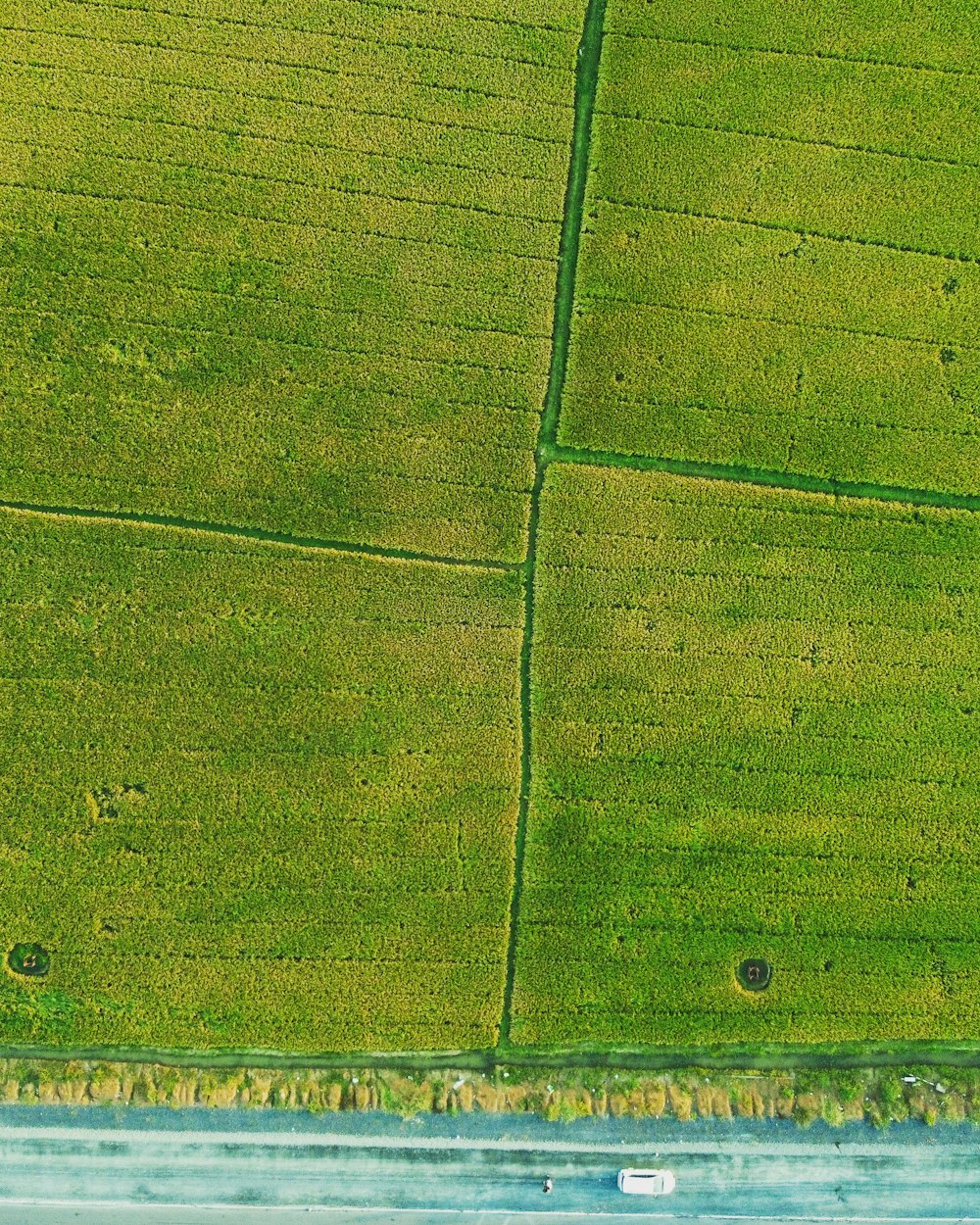 aerial view of green field