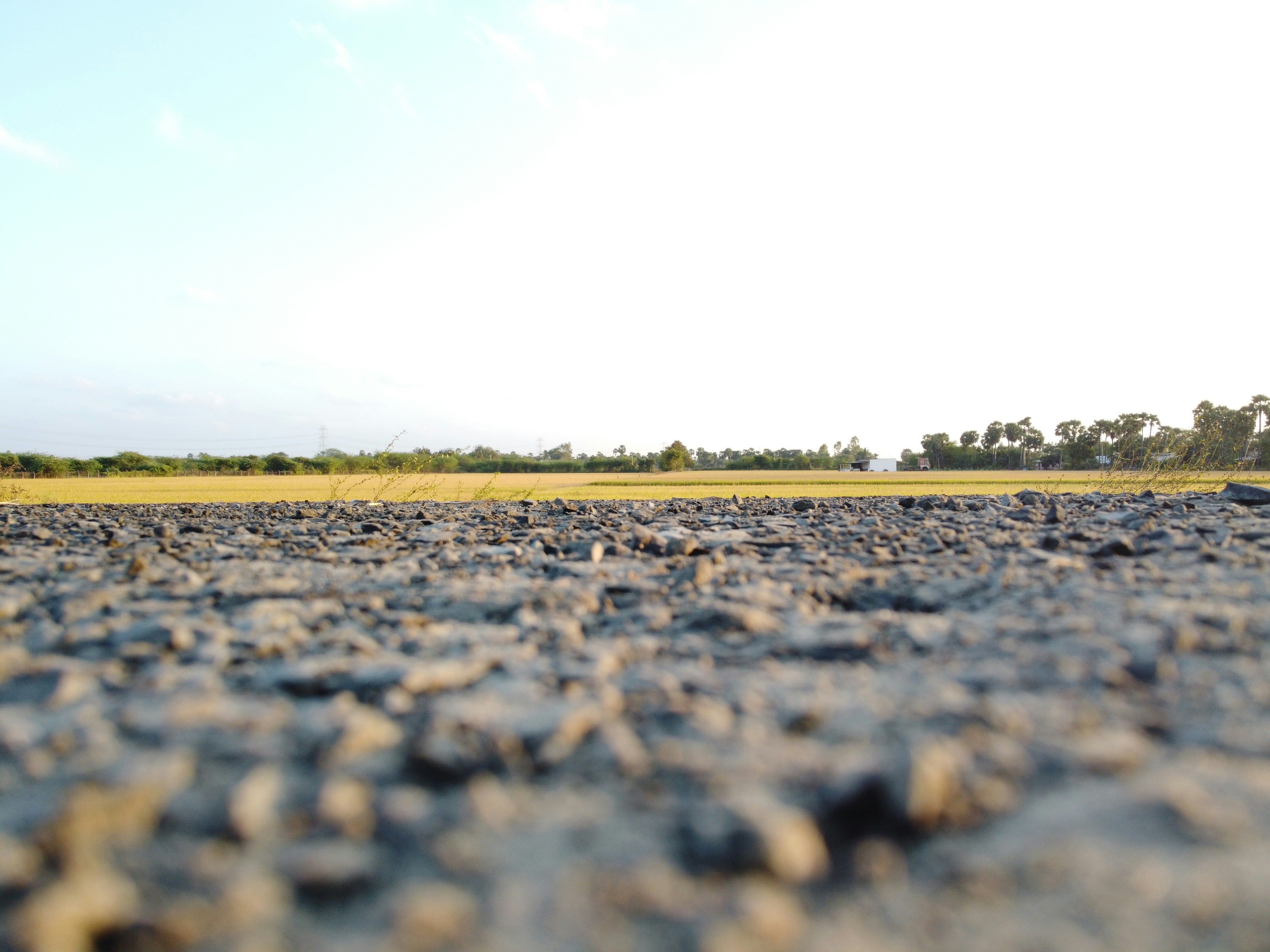 A wide shot of a parched agricultural field with a farmer looking towards the sky with concern, symbolizing drought