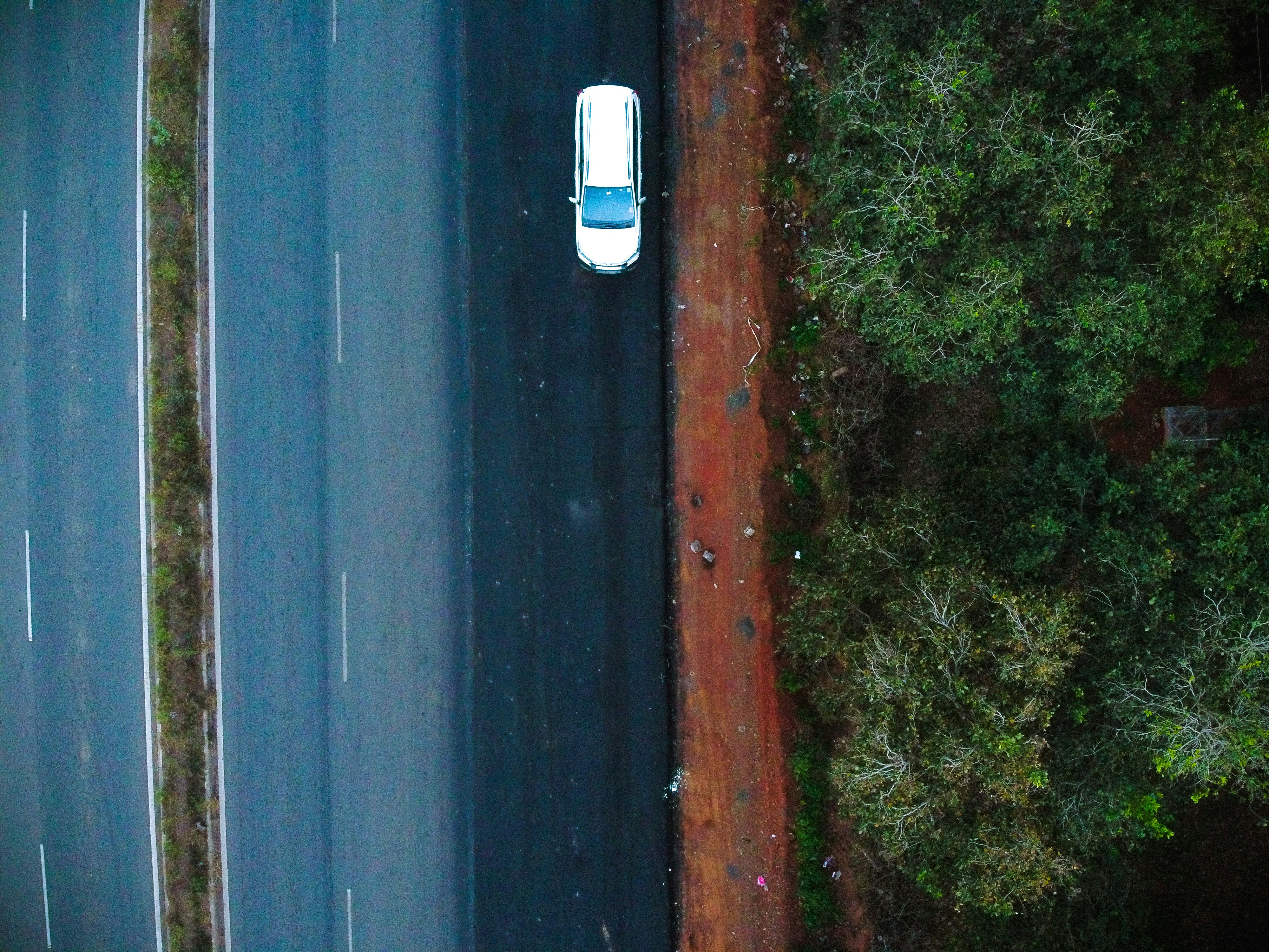 By the Woods