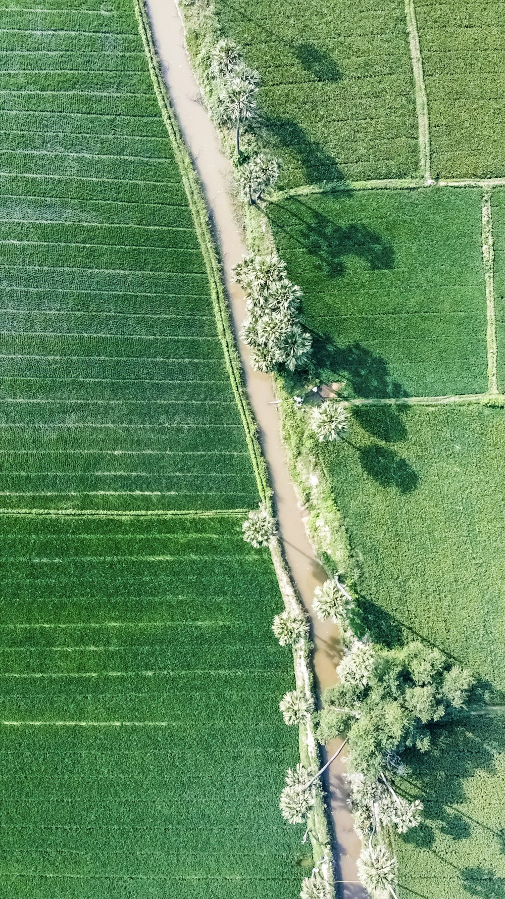 green grass field during daytime