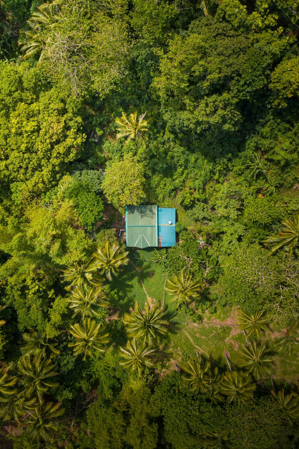 Casa azul y blanca rodeada de árboles verdes