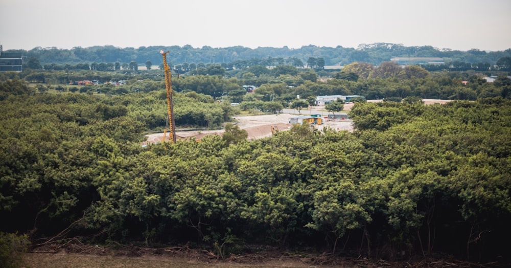 green trees and brown buildings during daytime