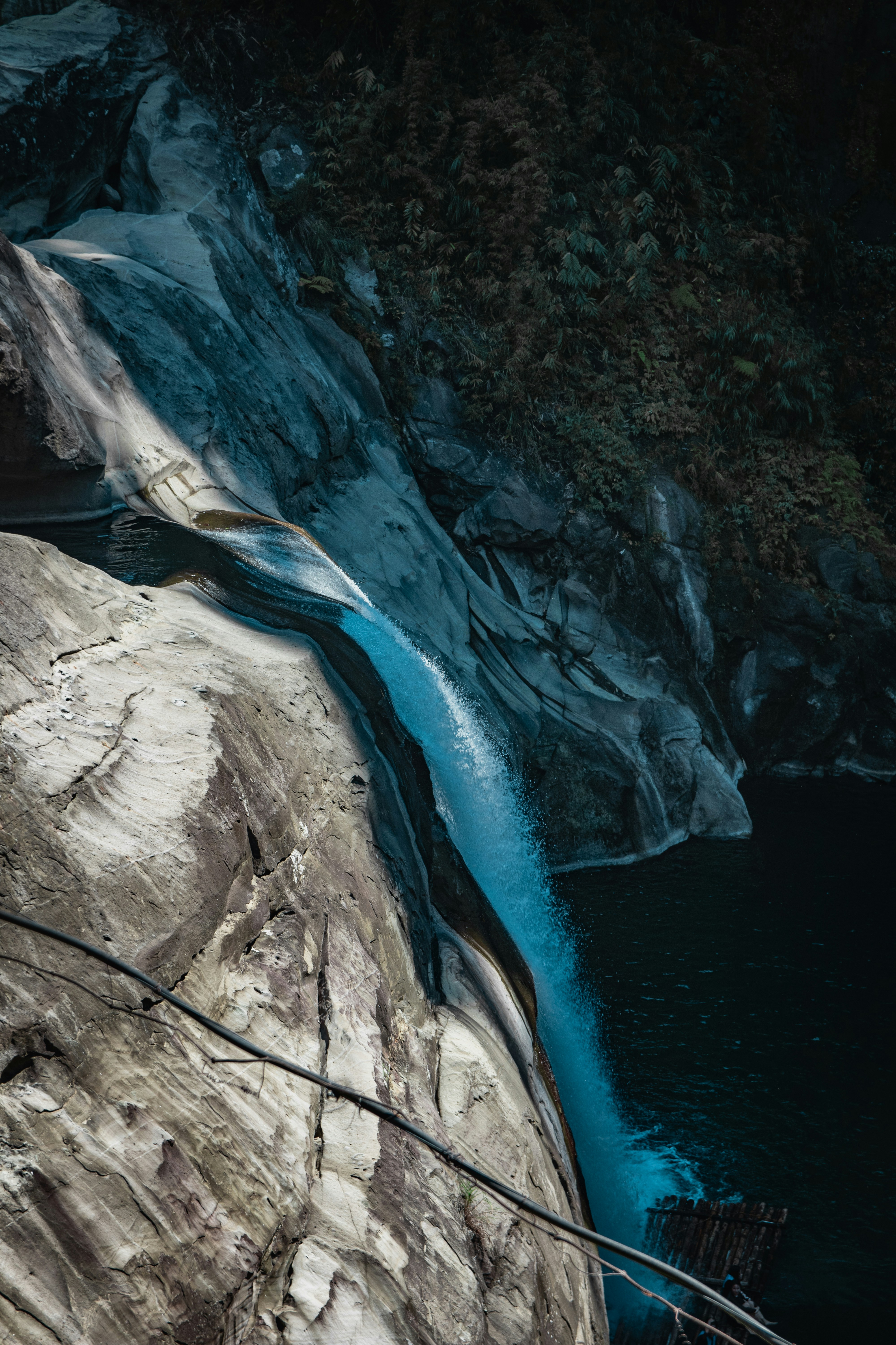 Photo by dustindagamac