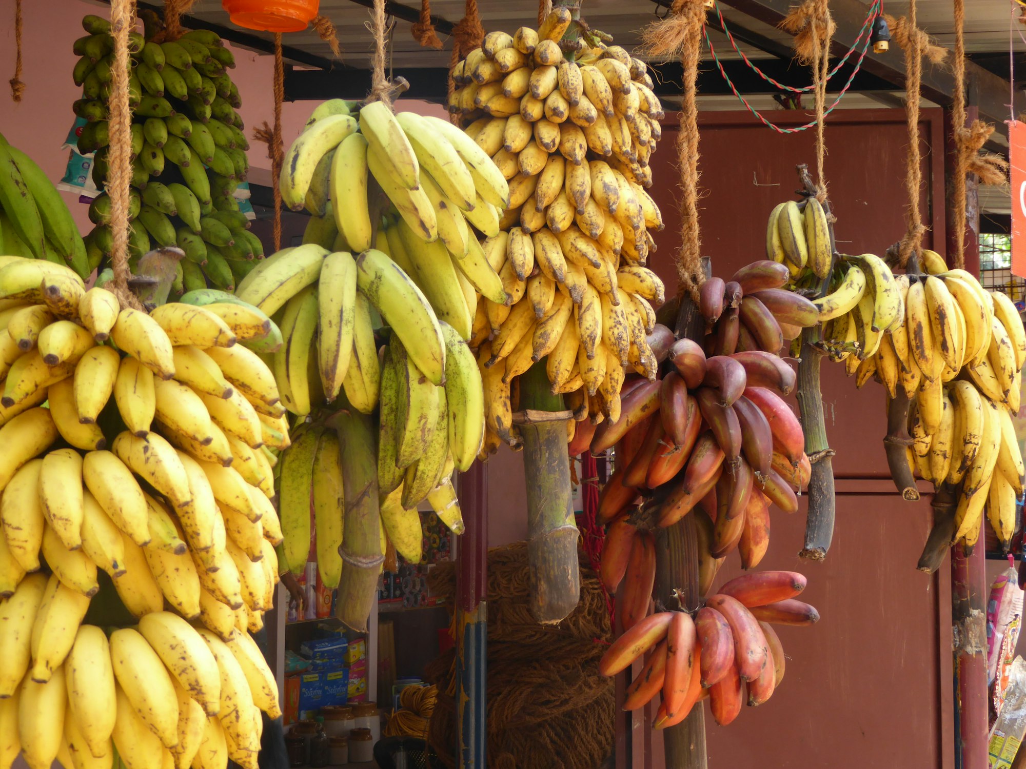  bananas fruit on display