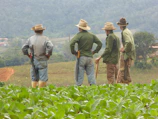 A group of local farmers inspecting new agricultural tools in a lush green field.