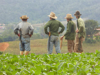 A team of agricultural experts discussing plant protection strategies in a green field.