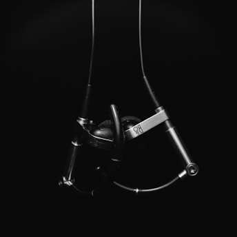 A close-up image of metallic, modern-looking earphones set against a black background. The earphones appear sleek and are intricately designed with metallic elements and wires. The brand marking is visible on one of the earphones.