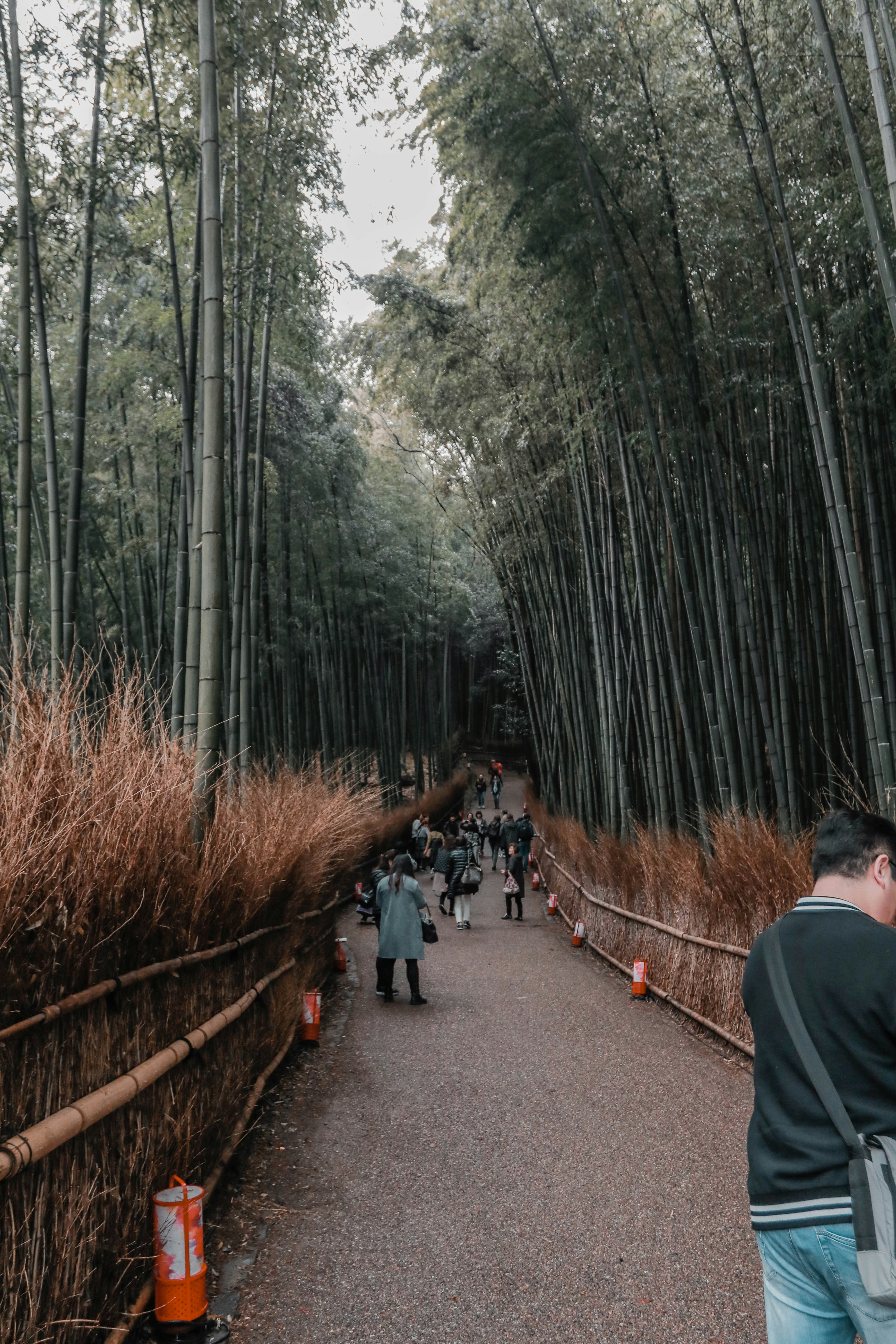 Photo by samuelsngx