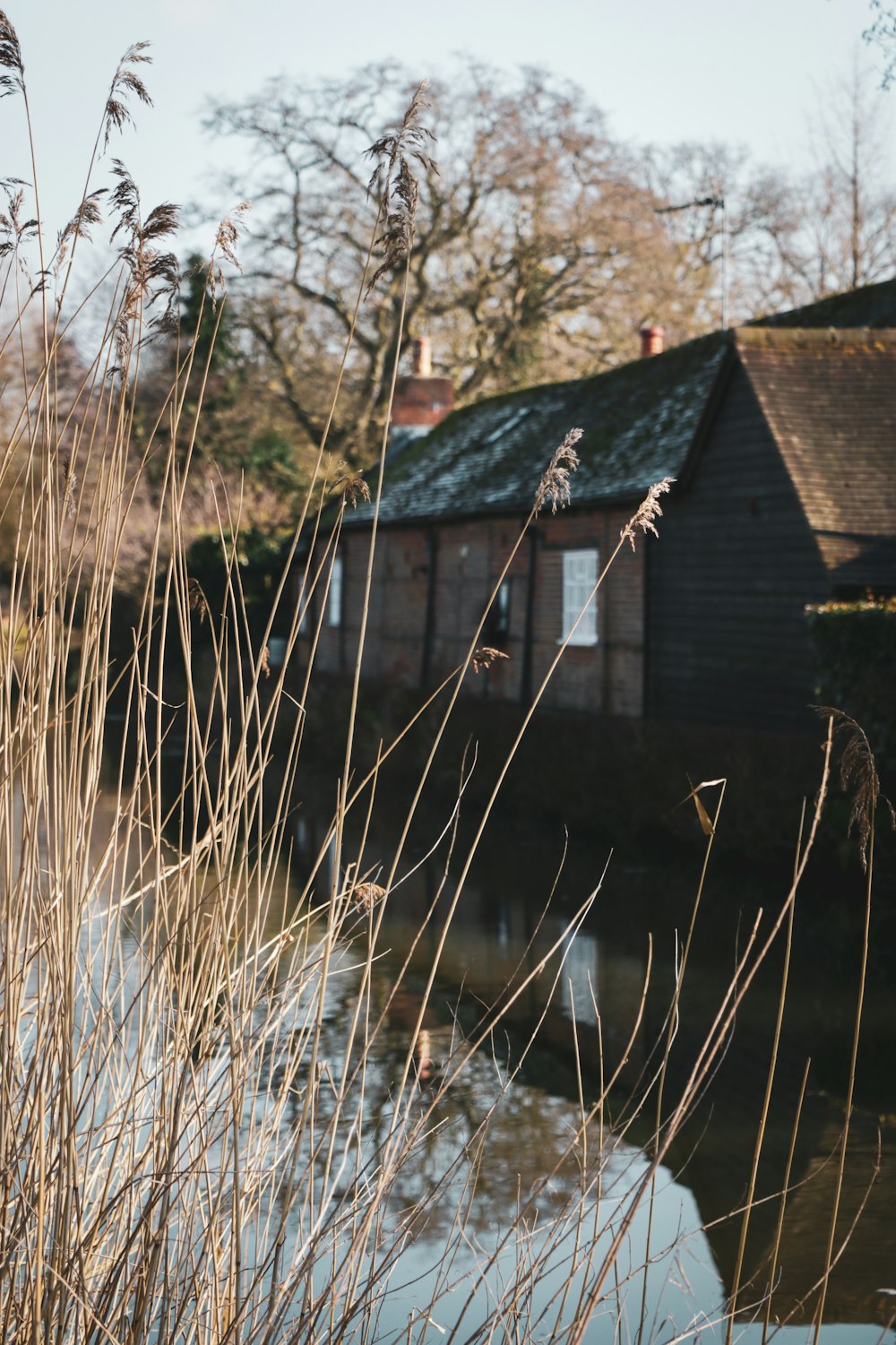 brown wooden house on water