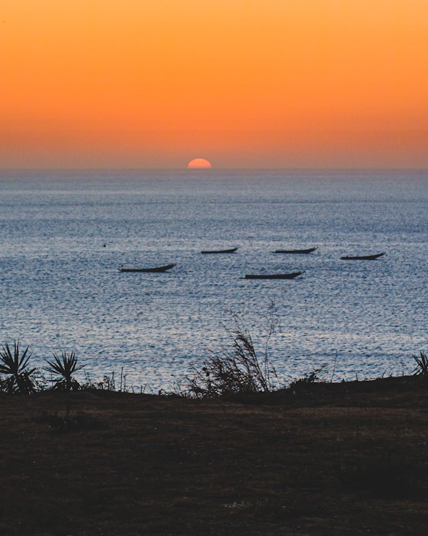 Cultural Exploration: Senegal's Traditions & Celebrations