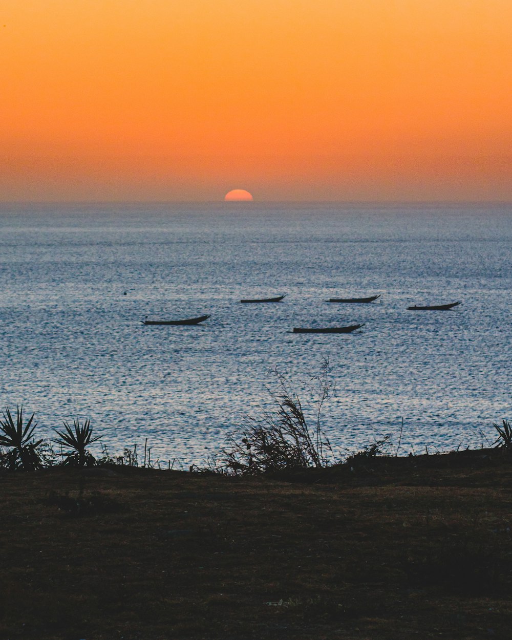 Gewässer bei Sonnenuntergang