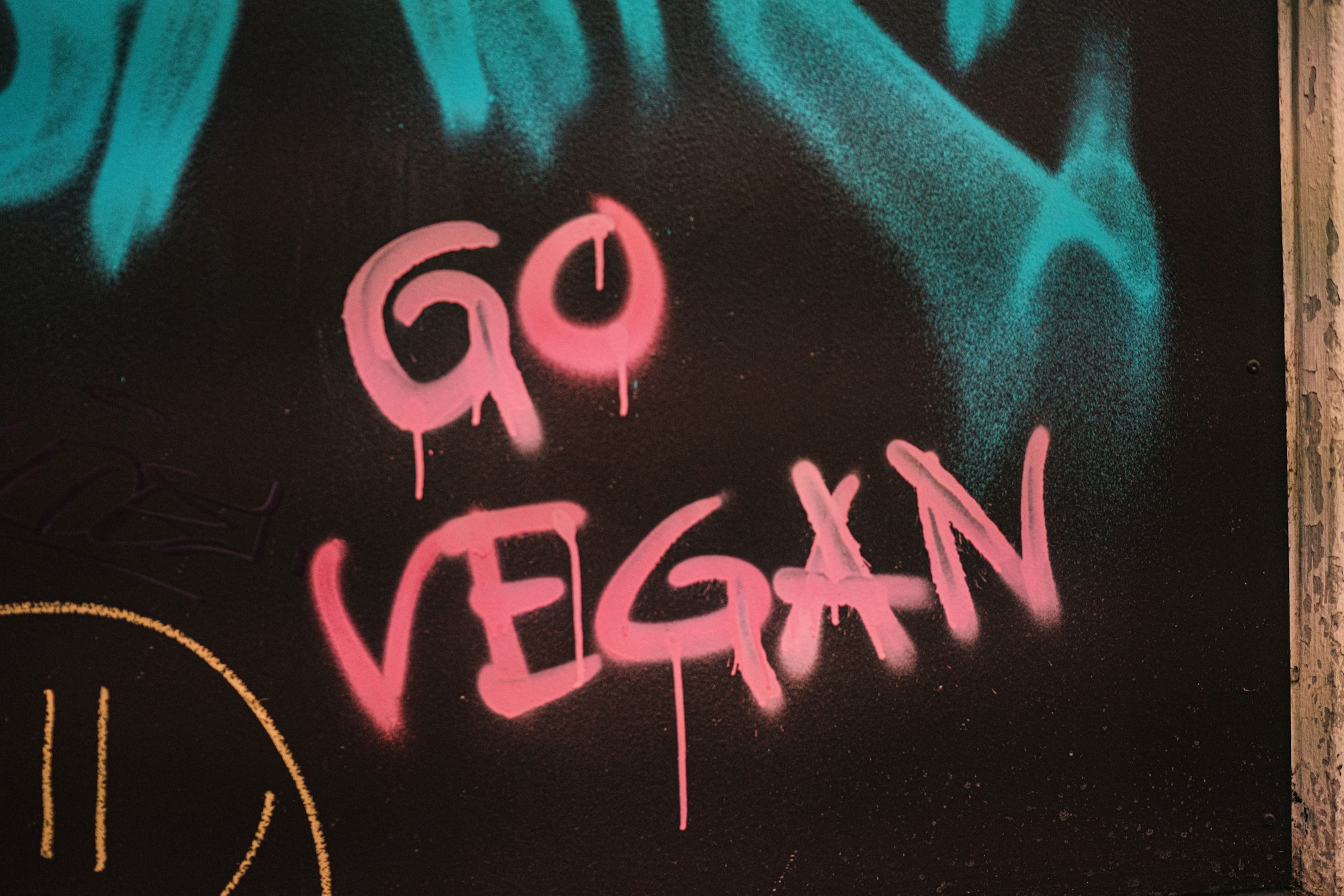 The Top 7 Vegan Classes For Veganuary 2022