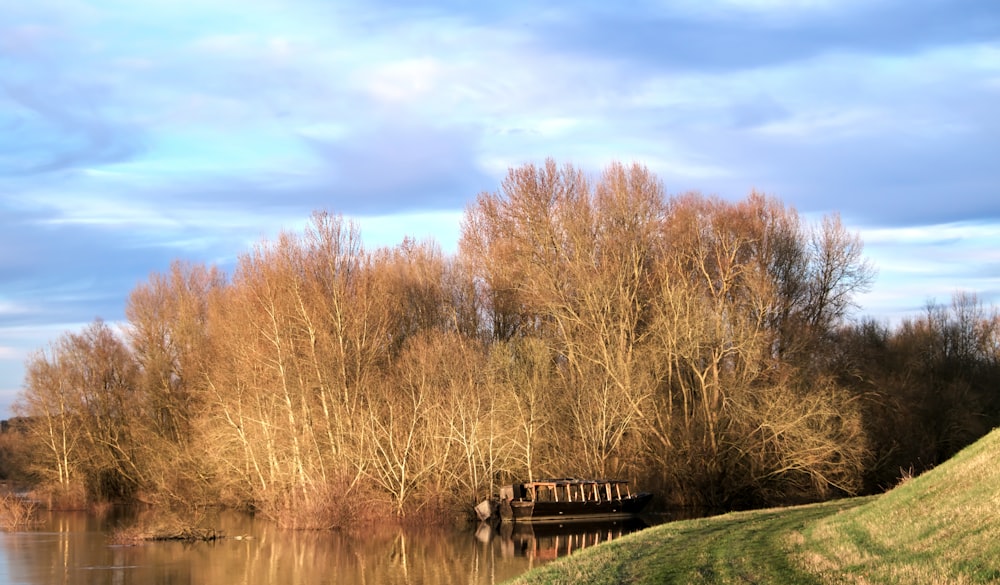 brown wooden bridge over river