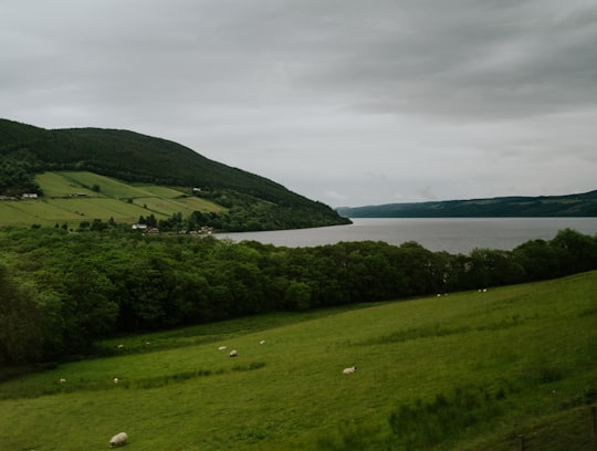 None in Loch Ness United Kingdom
