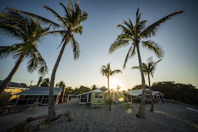 A serene Konkani village scene with houses and coconut trees at sunset.