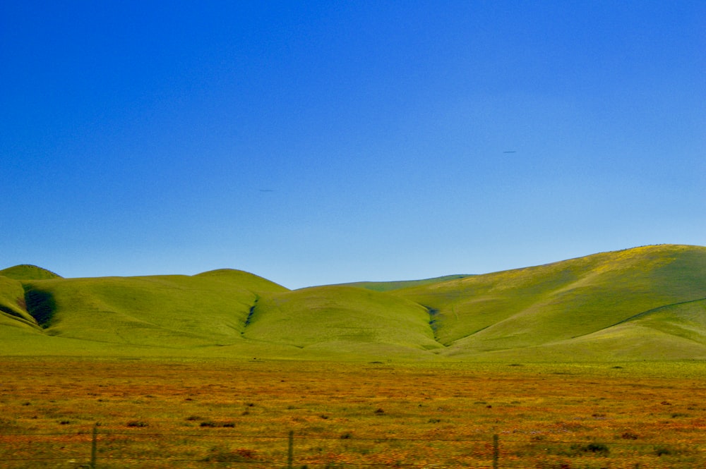 green grass field under blue sky during daytime