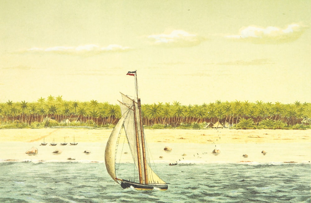 brown sail boat on sea shore during daytime
