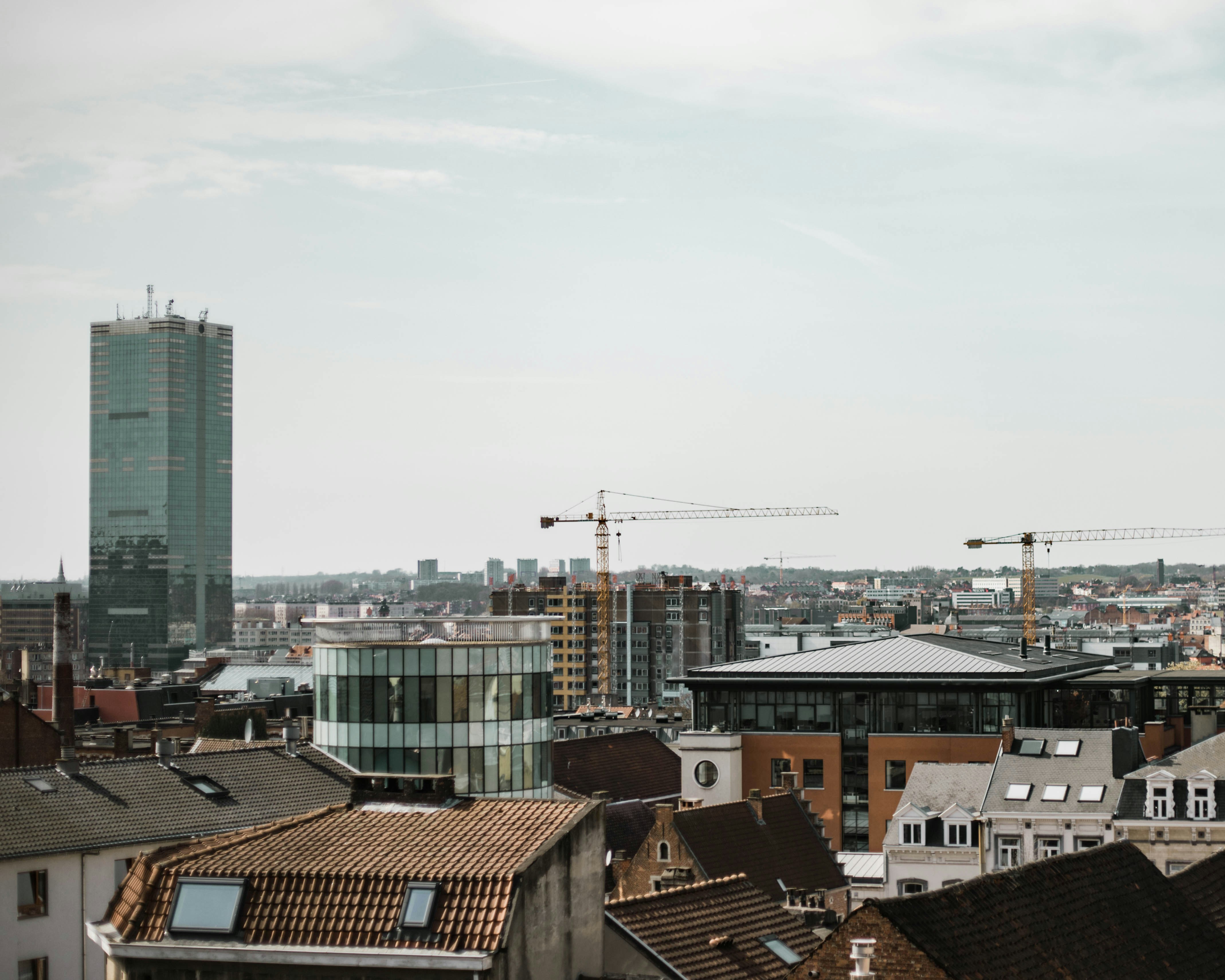 Image by Sinitta Leunen via Unsplash