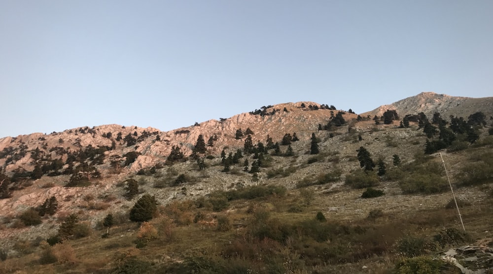 brown rock formation under blue sky during daytime