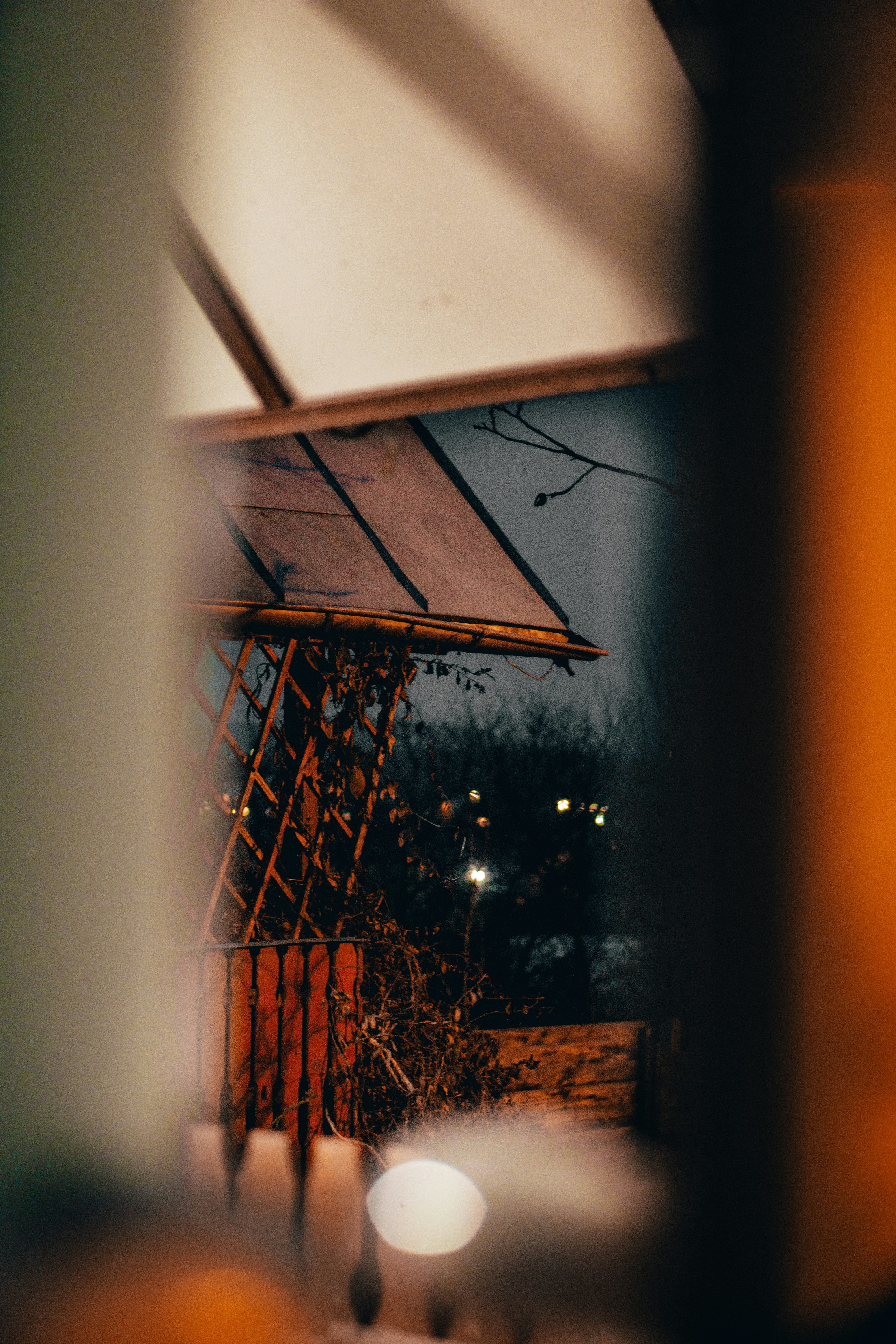 Photo by mateipruteanu