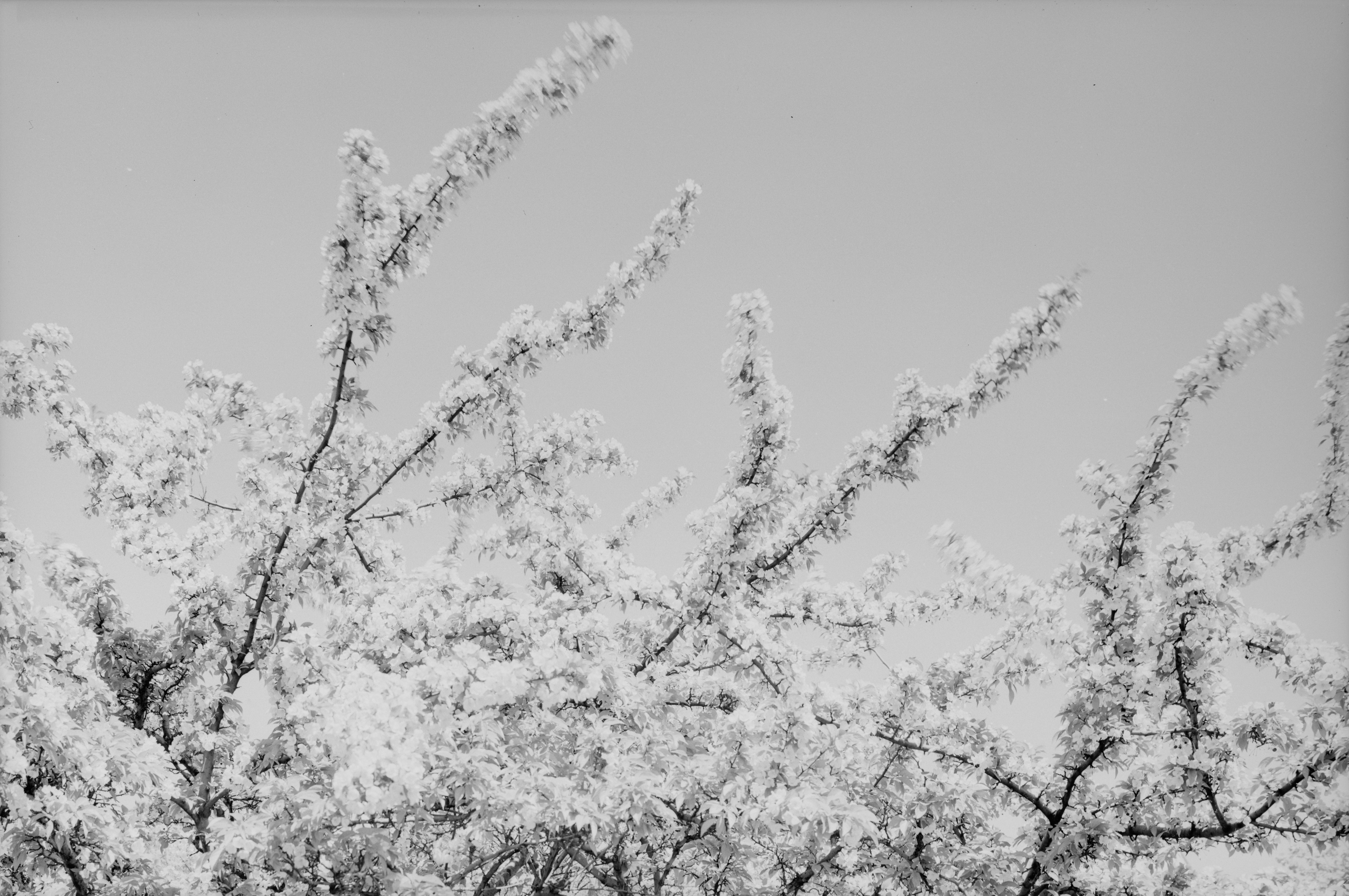 Photo by bostonpubliclibrary