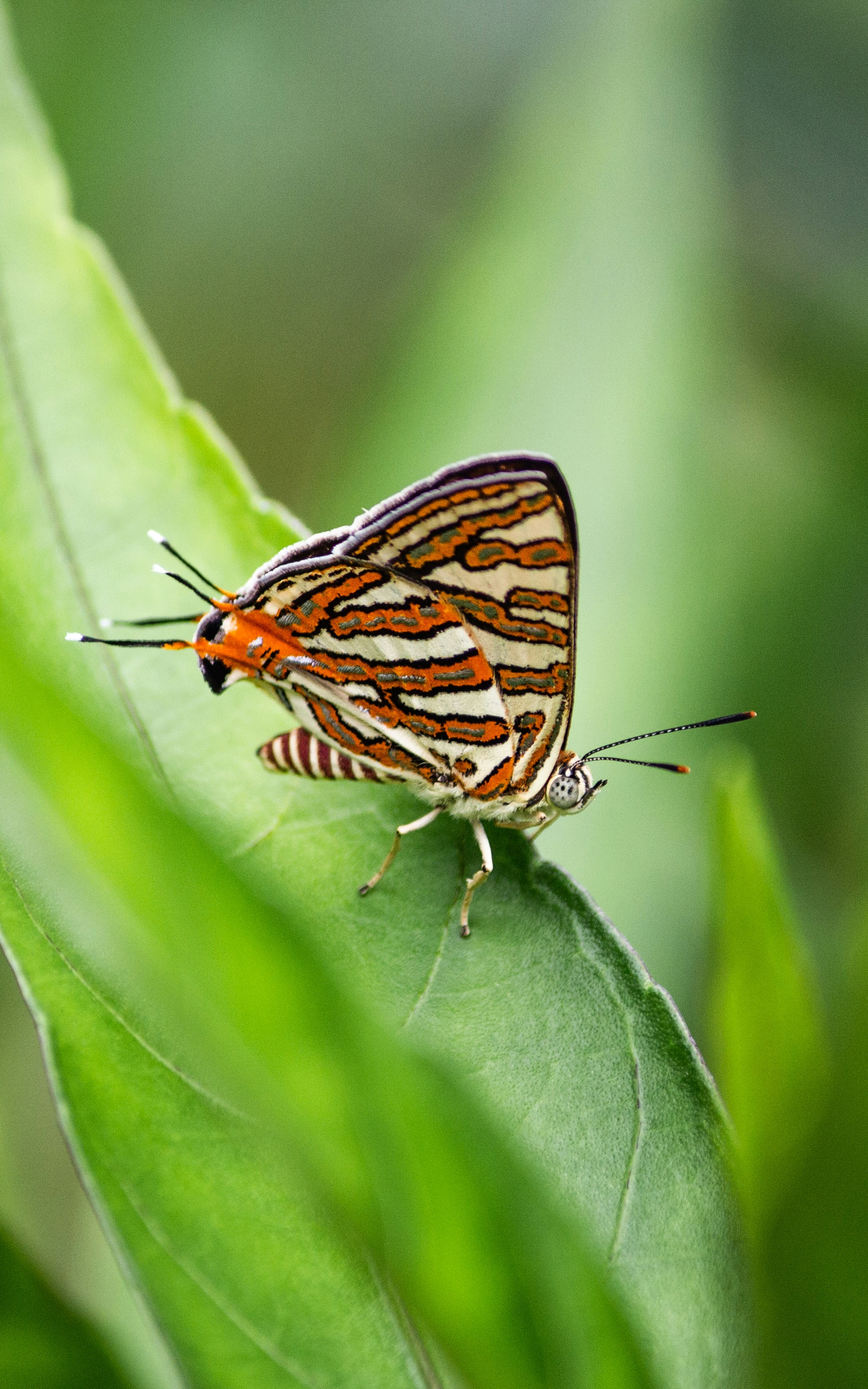 Photo by daniel_joshua_