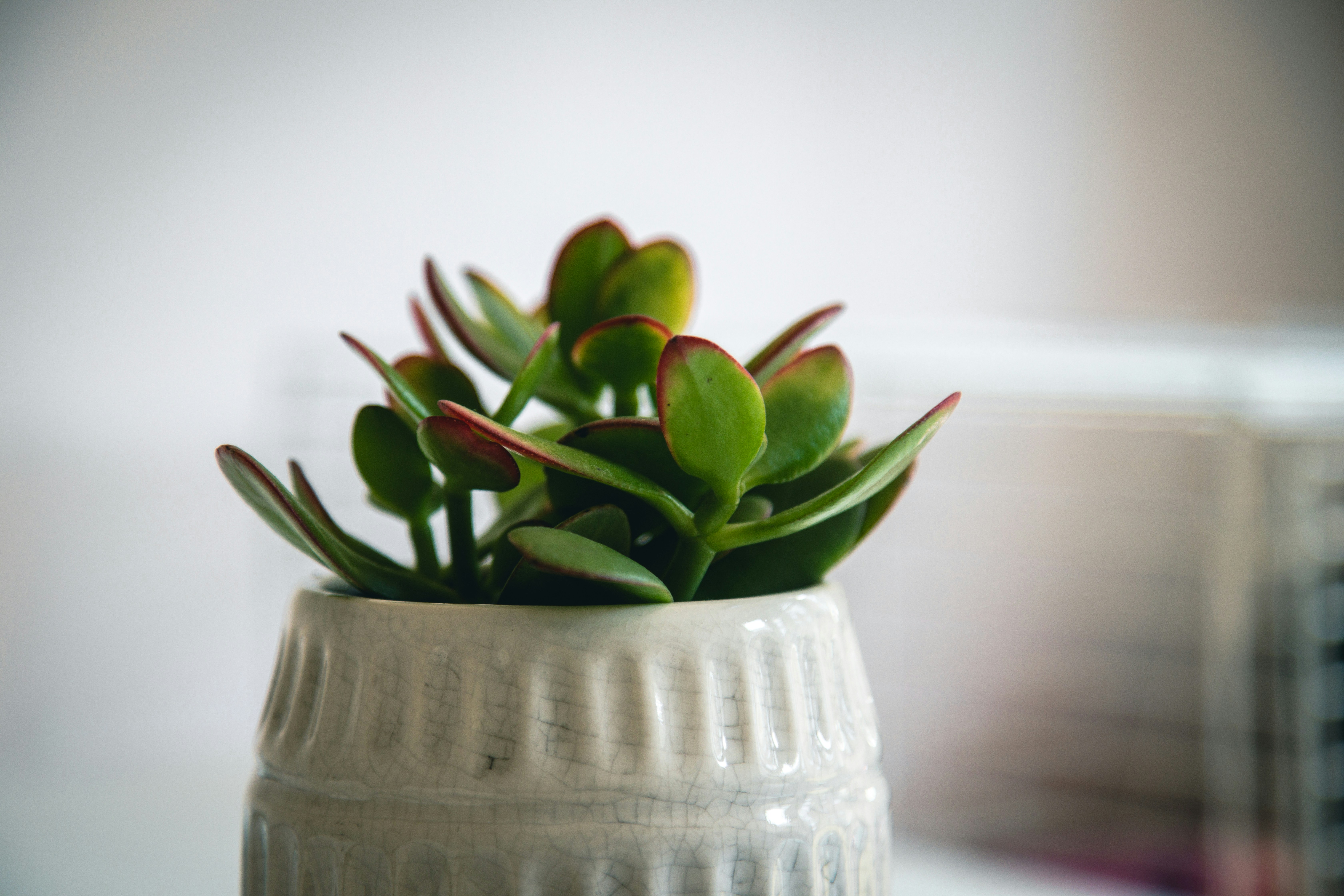 Photo by nicolasjleclercq