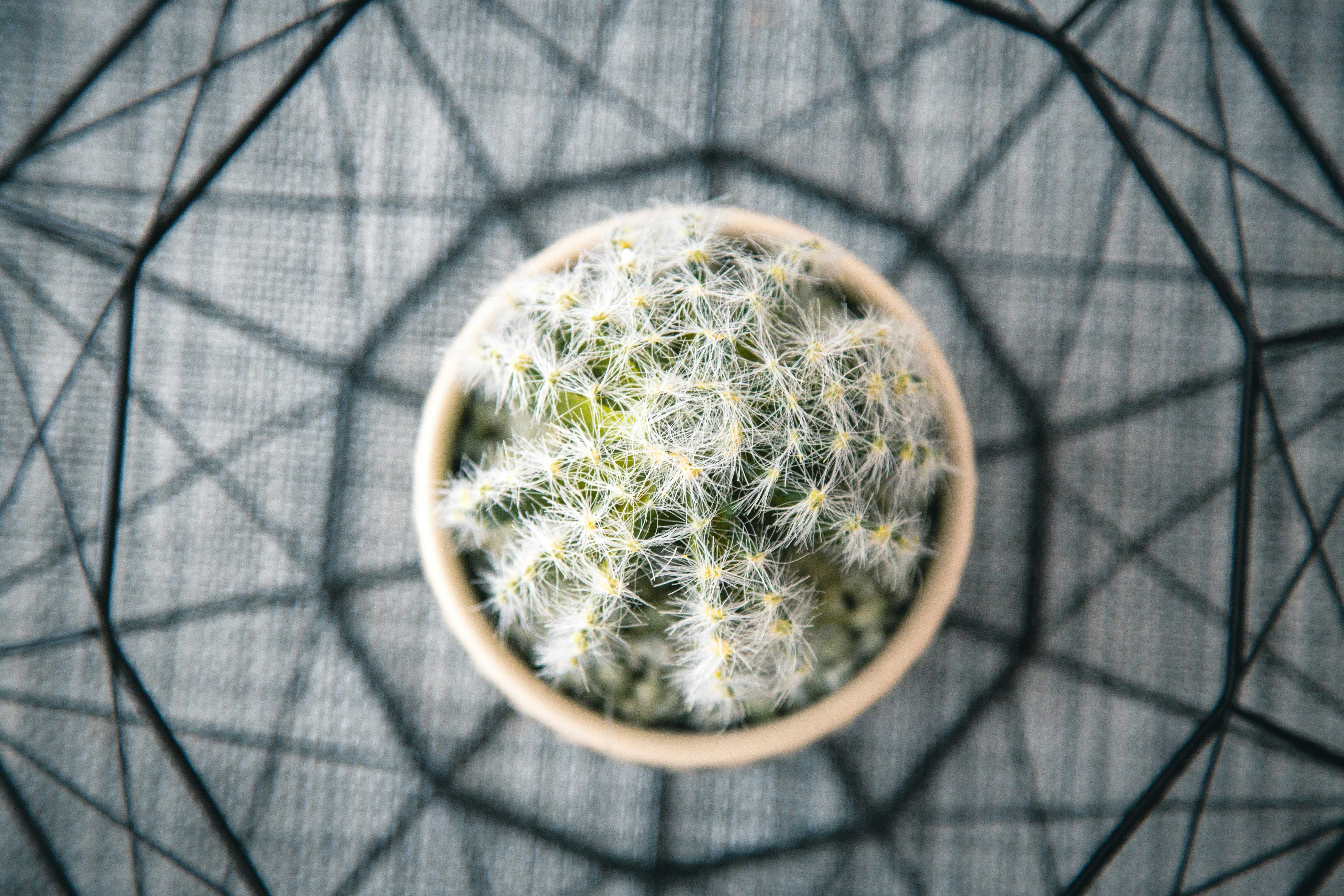 Photo by nicolasjleclercq