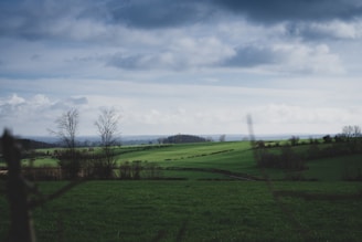 A calm agricultural landscape with gentle green fields under a clear sky.
