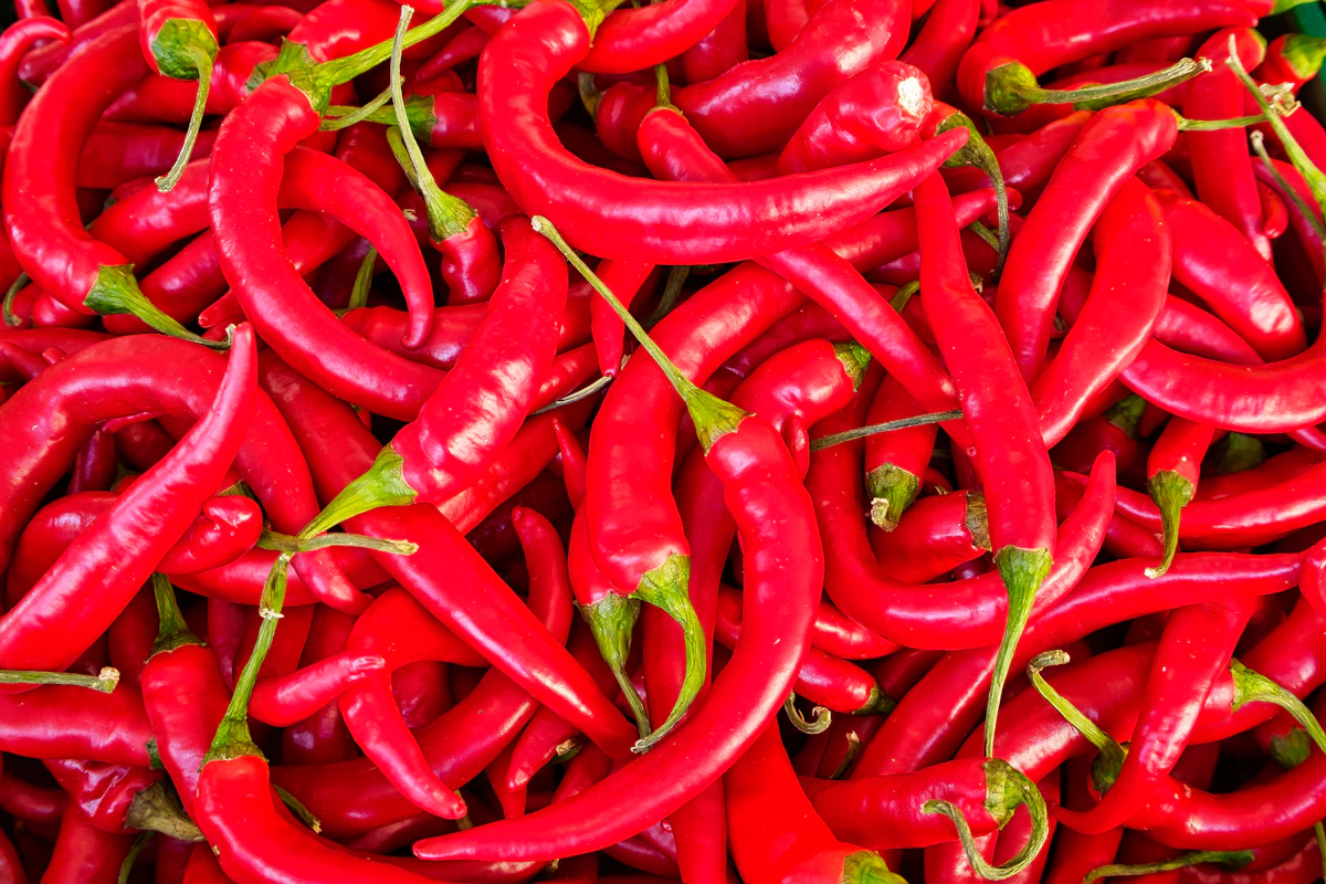 Vibrant red chilies, inspiration for our flagship Chili Crunch
