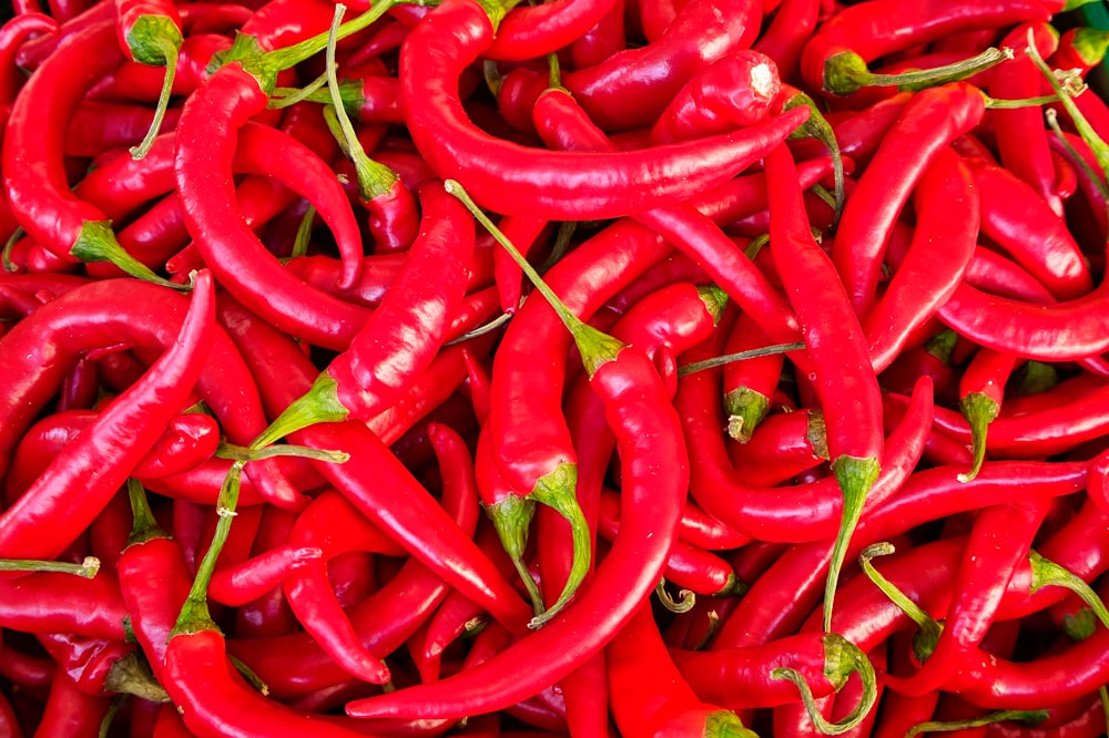 red chili peppers in close up photography