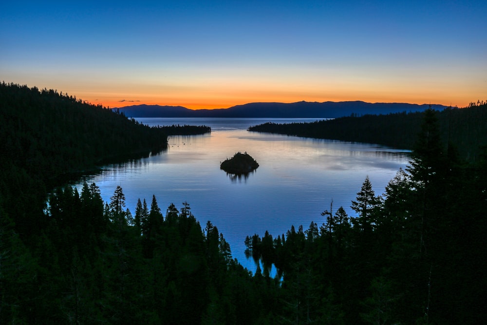 green trees near body of water during sunset